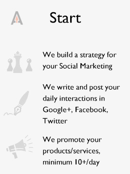 Outsourced Social Media Management Services Company